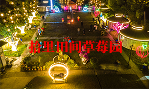 草莓91香蕉APP下载污風光