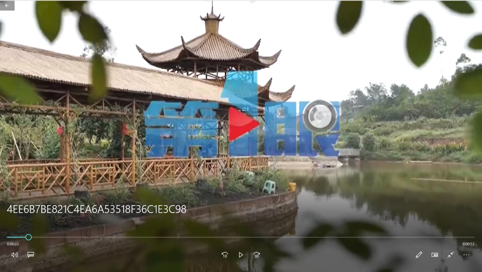 香蕉视频黄下载烤全羊.png